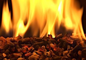 Granulés de bois flamme