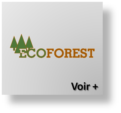pièces détachées ecoforest