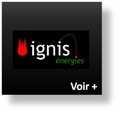 pièces détachées ignis