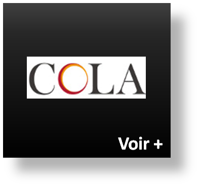 pièces détachées poêles granulés anselmo cola