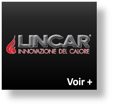 pièces détachées lincar