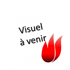 ventilateur fumées cs thermos