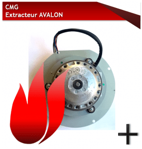 PIÈCES AVALON EXTRACTEUR CMG