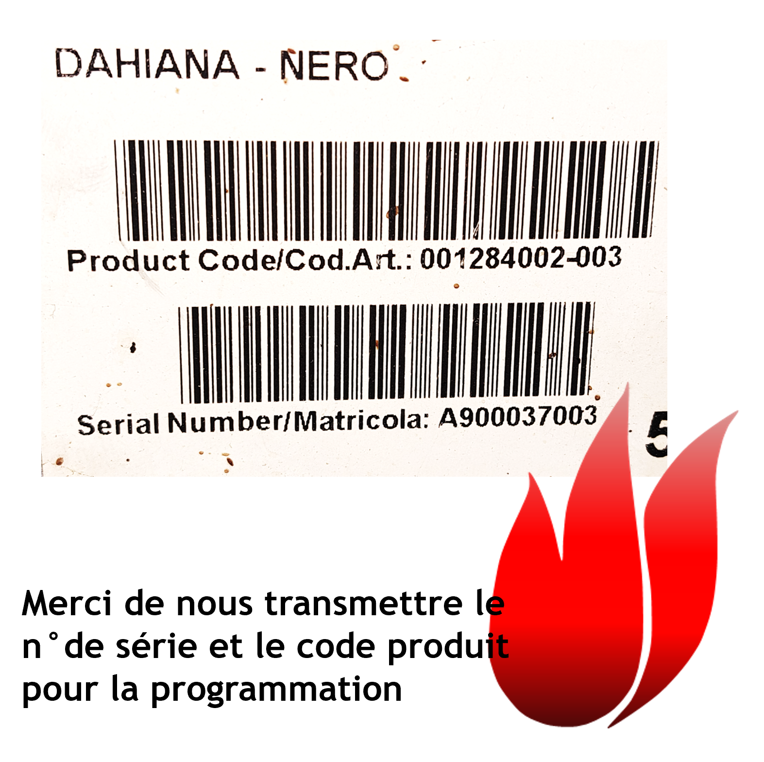 carte extraflame programmation